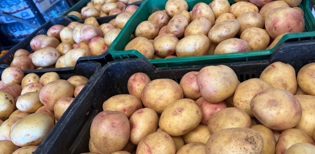 Patatas Ojo Perdiz